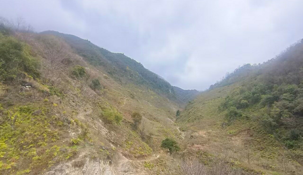 四川省凉山州山地200亩合作(甘洛县)