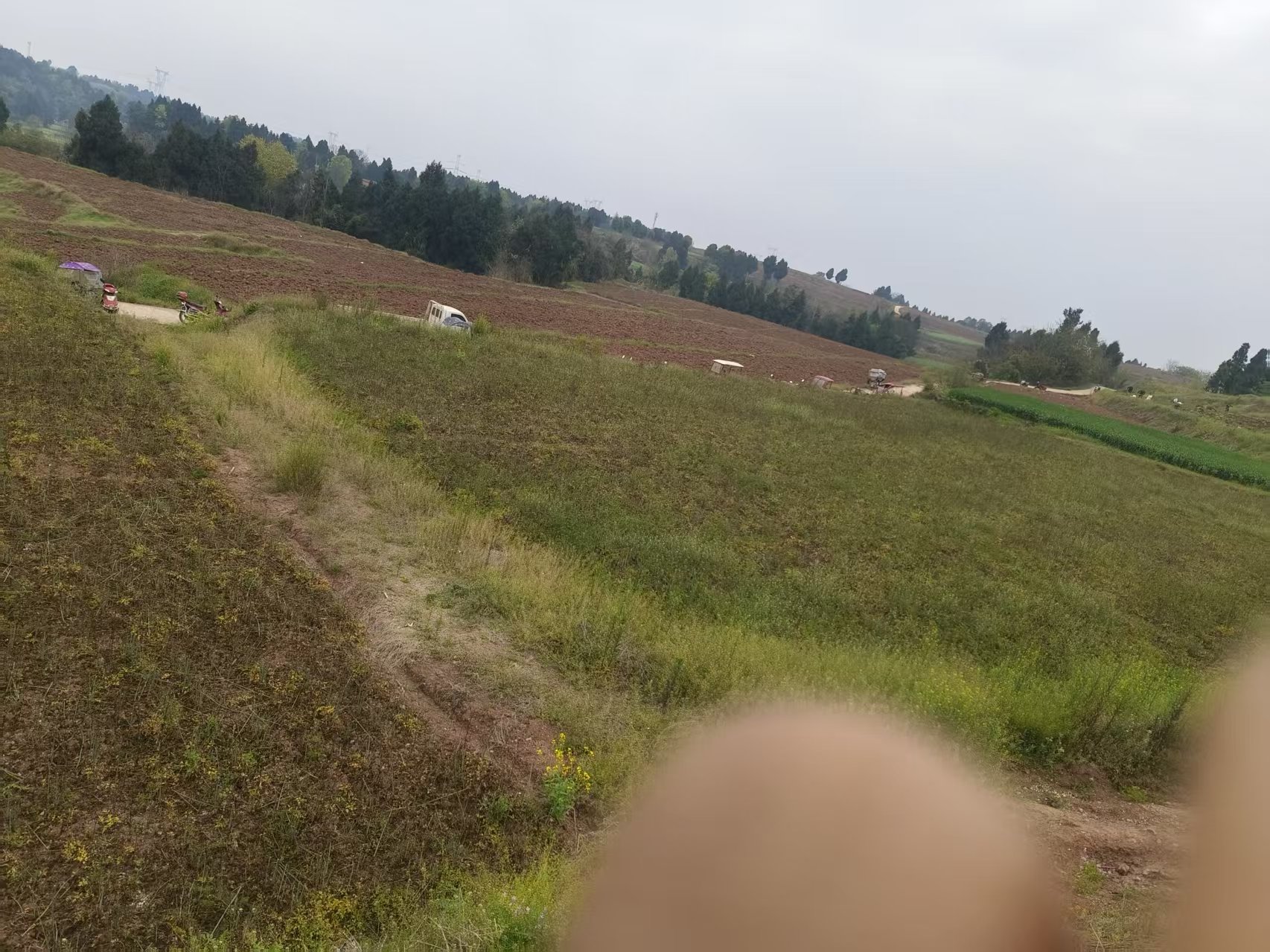 四川绵阳耕地200亩出租(三台县)
