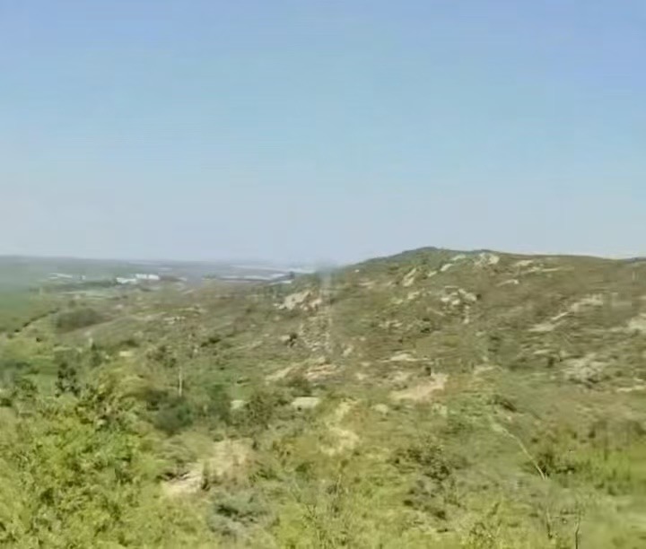 河北邢台山地2000亩出租(桥西区)