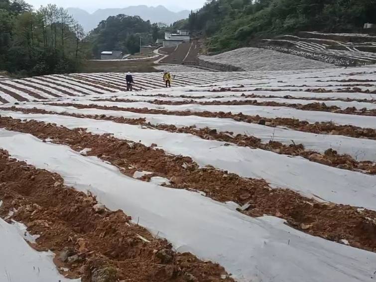 四川省宜宾耕地100亩免租合作(珙县)