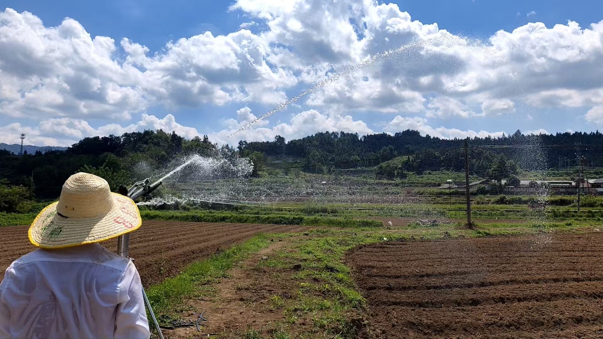 贵州省黔东南州500亩耕地合作种植(镇远县)