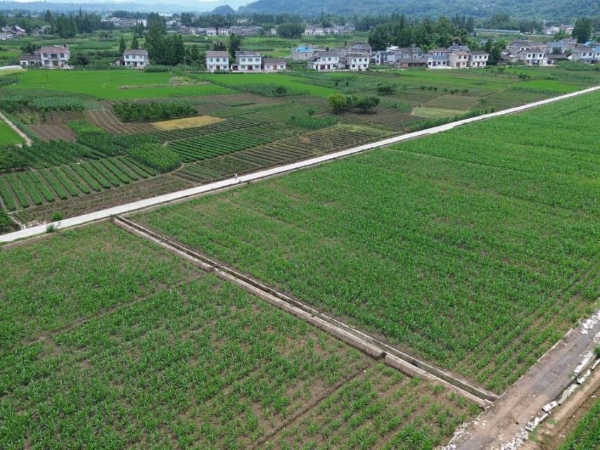 四川省眉山沙地467亩耕地出租-洪雅县