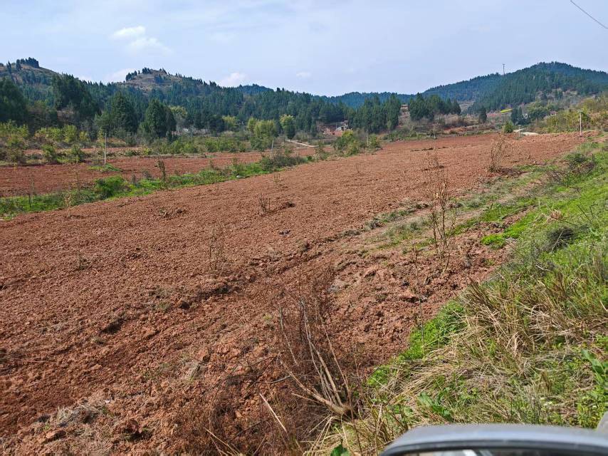 四川南充耕地40亩出租-嘉陵区