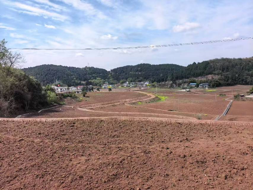 四川成都市高标准农田400亩出租(简阳市)