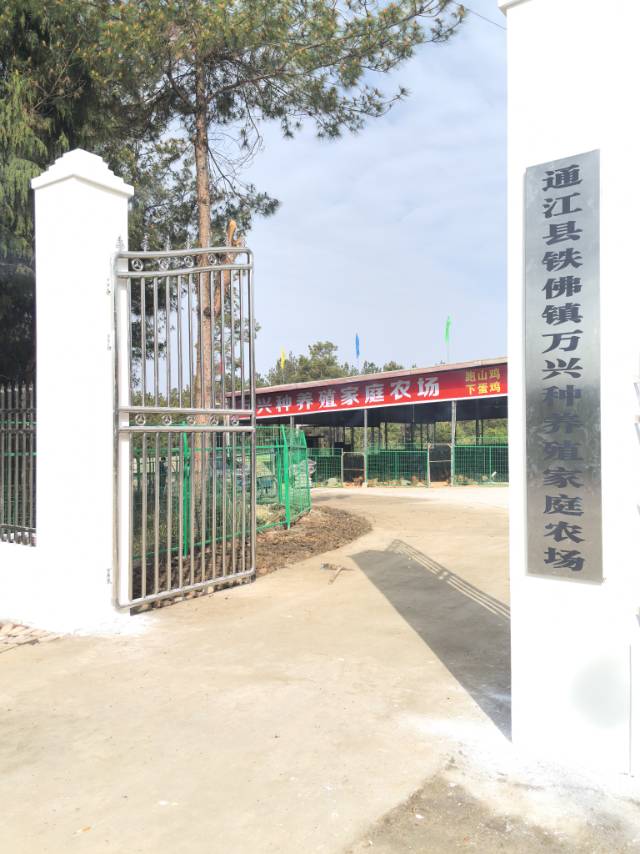 通江铁佛万兴种养殖农场
