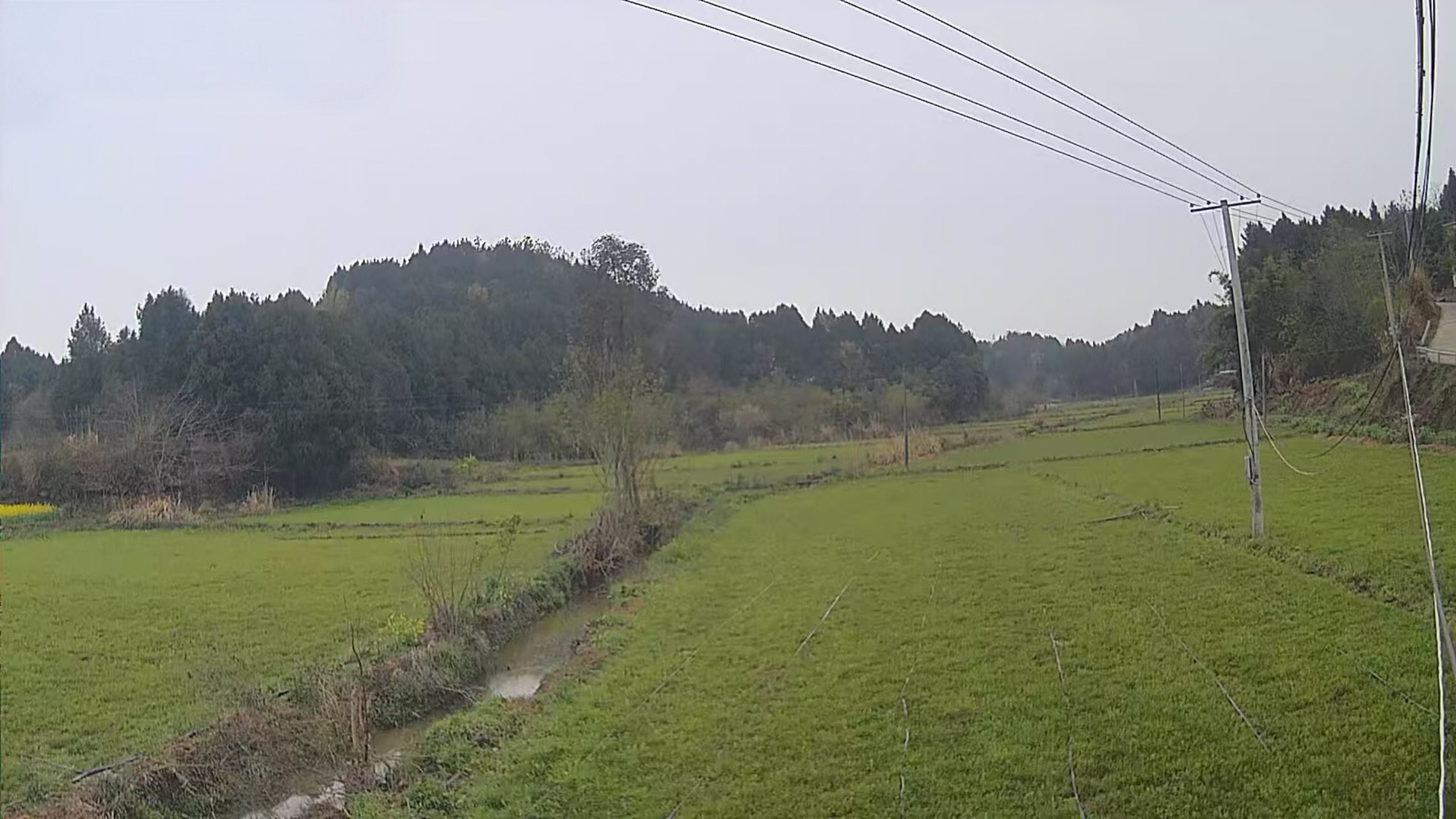 四川绵阳耕地130亩出租(游仙区)