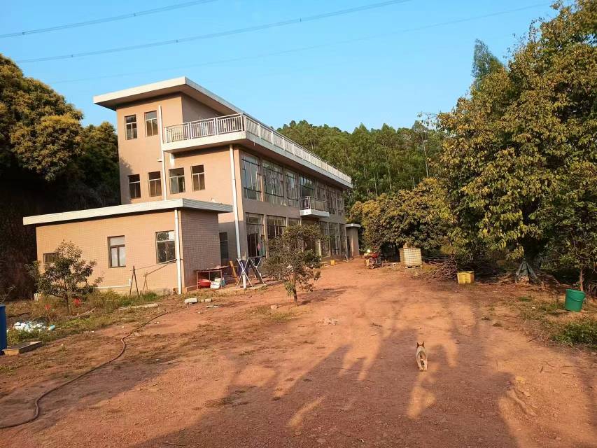 广东惠州林地果园农房425亩转让-博罗