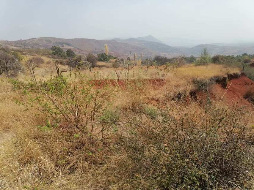 云南大理山地300亩出租