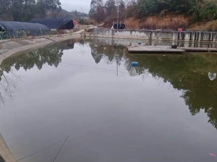 四川绵阳市鱼塘4亩出租(江油市)
