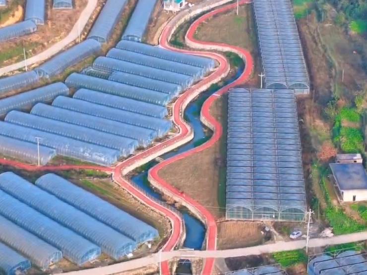 四川泸州市大棚基地110亩出租(古蔺县)