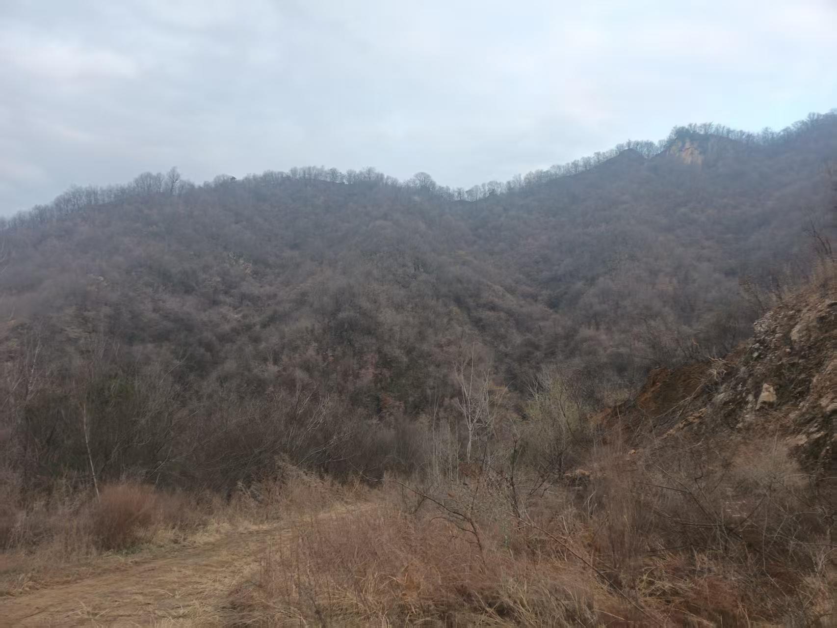 河南南阳荒山林地3763亩出租(西峡县)