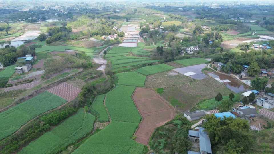 四川眉山市耕地出租3000亩(仁寿县)