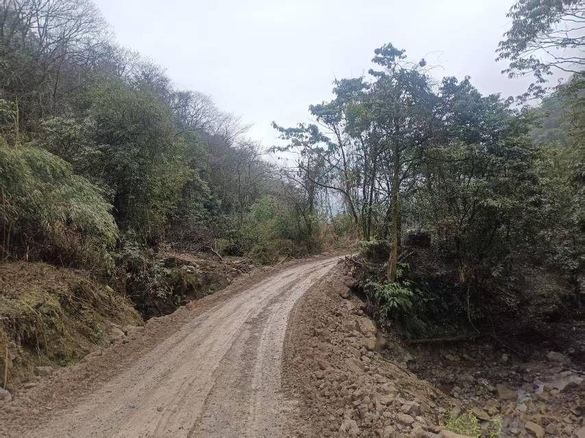 四川雅安林地1700余亩出租(天全县)