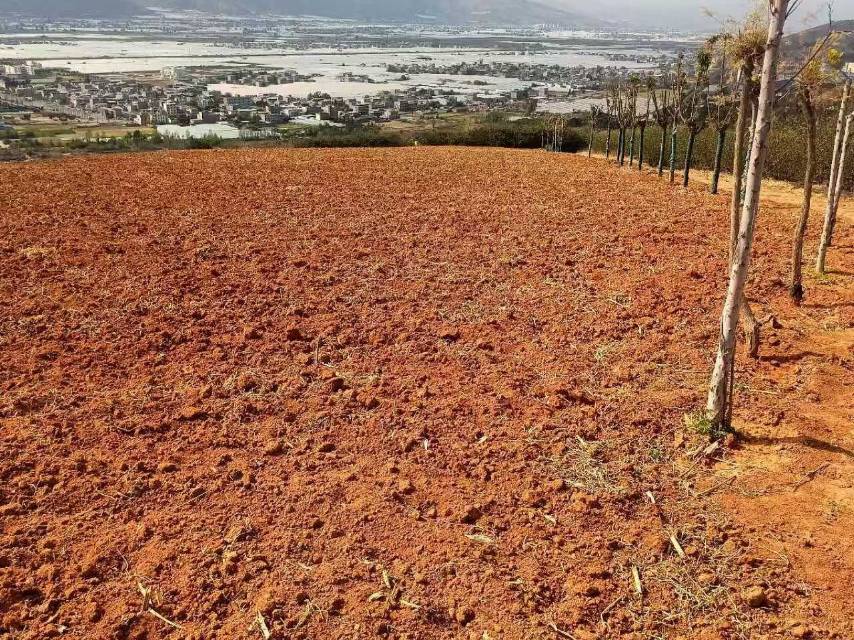 四川凉山州山地200亩出租-西昌