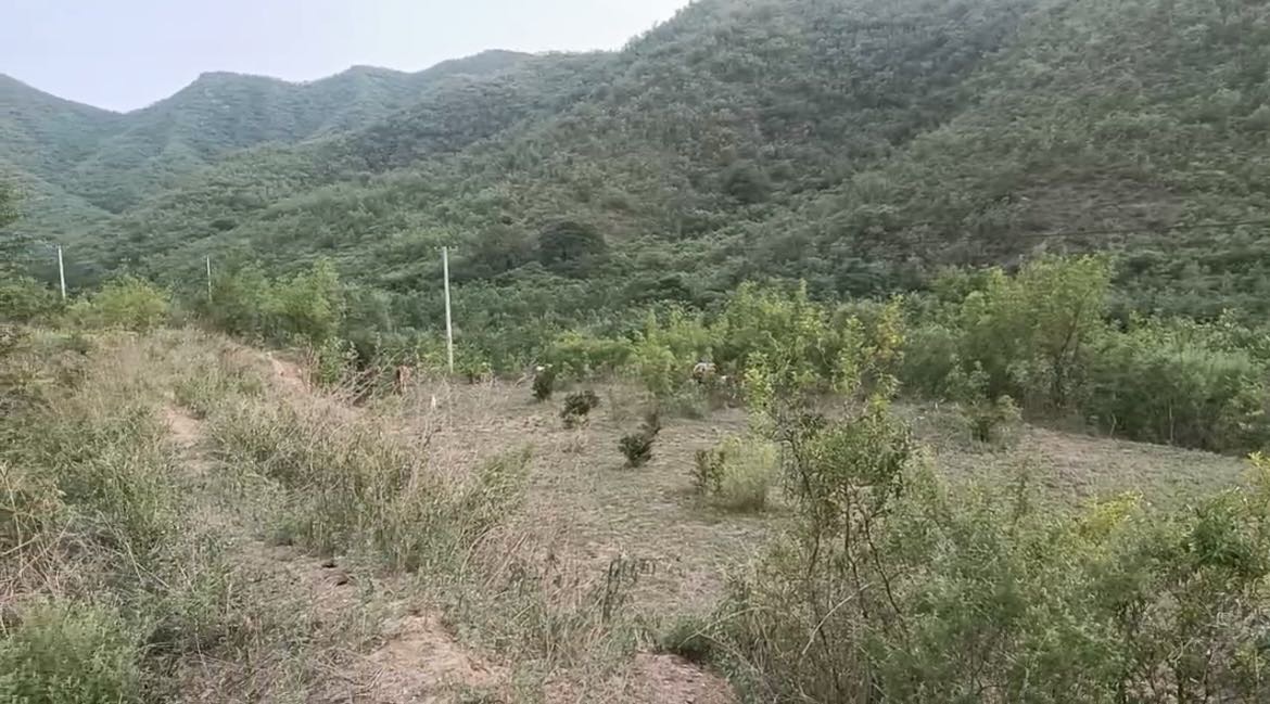 河北石家庄山地2000亩出租(井陉矿区)