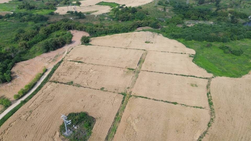四川成都耕地1000亩出租-龙泉