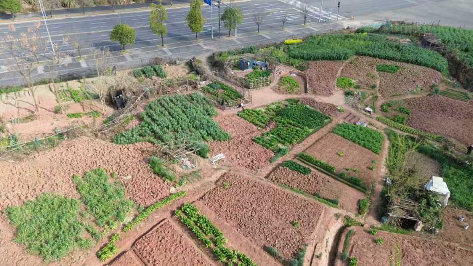 四川成都城中区耕地500亩合作(天府新区)