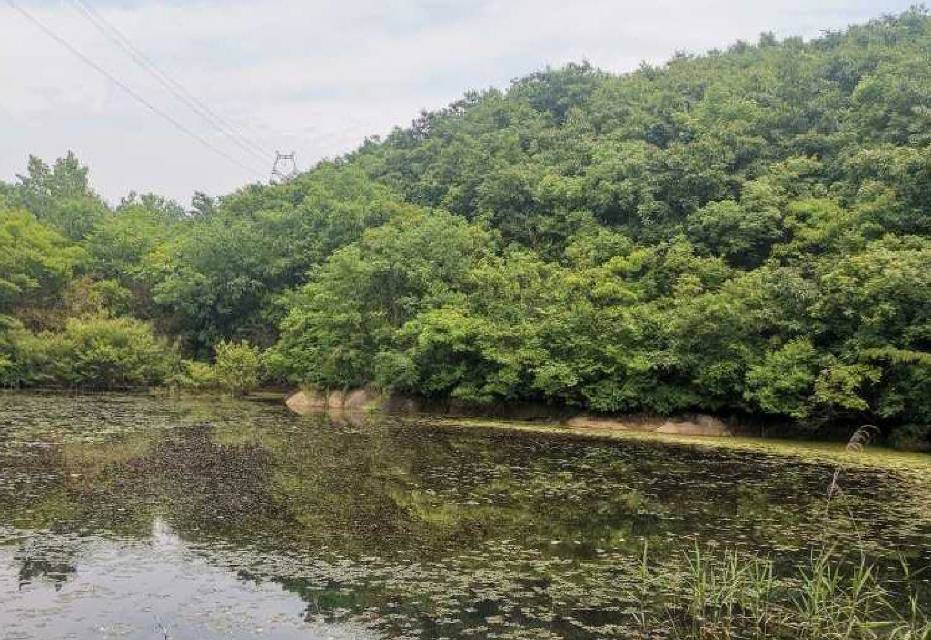湖北随州山地水田600亩出租(随县)