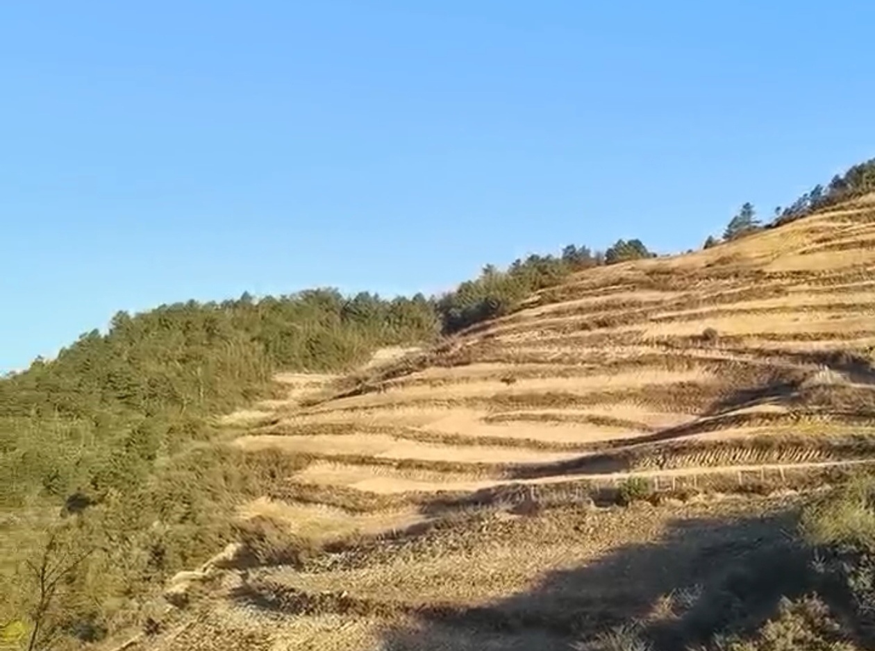 四川省凉山州山地500亩出租(甘洛县)