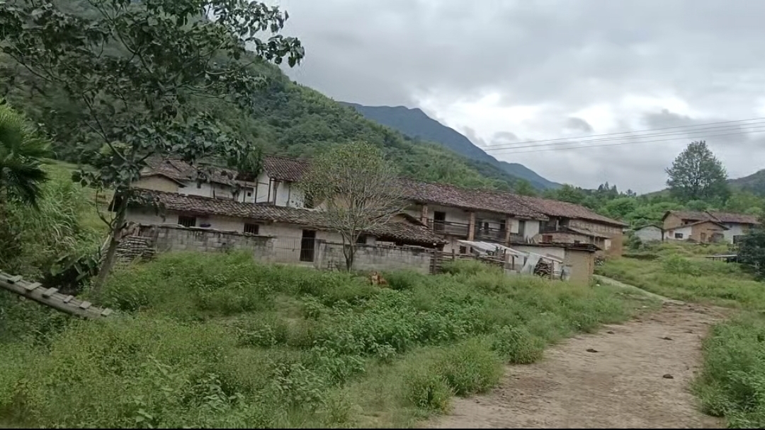 江西赣州耕地1000亩出租(宁都县)