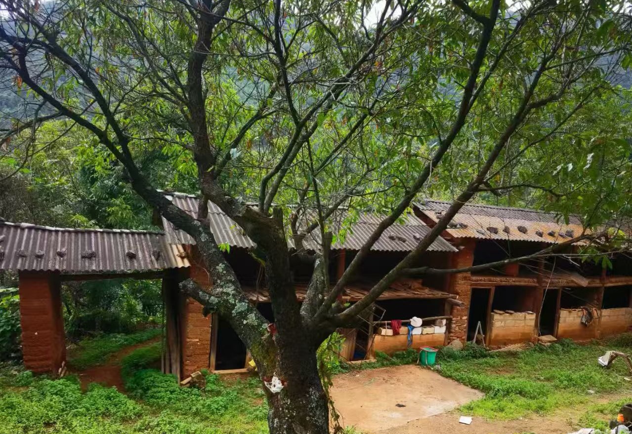 云南昆明耕地100亩出租(禄劝县)